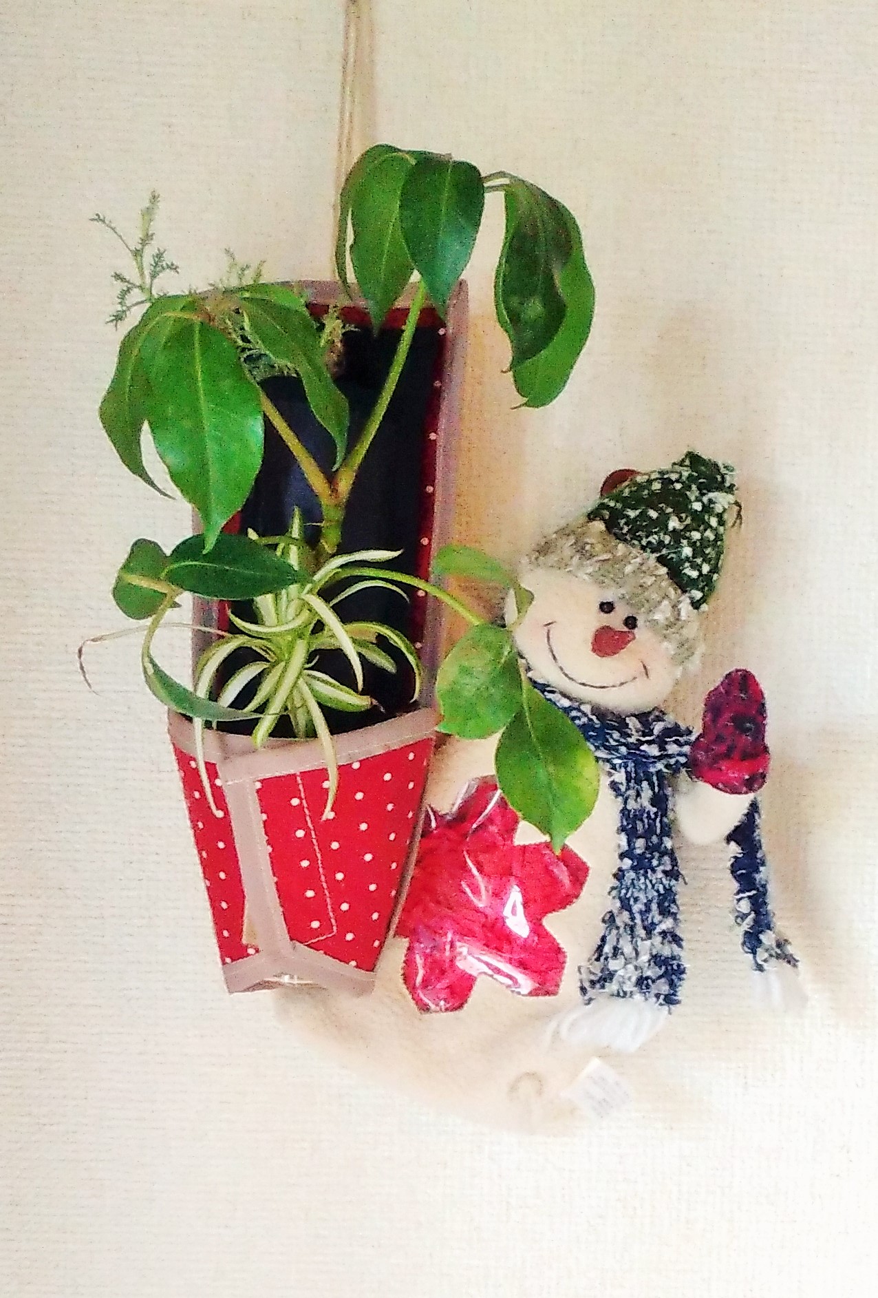 �N���X�}�X,�t�@�X�i�[�O���[��